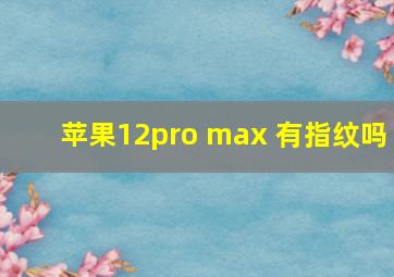 苹果12pro max 有指纹吗